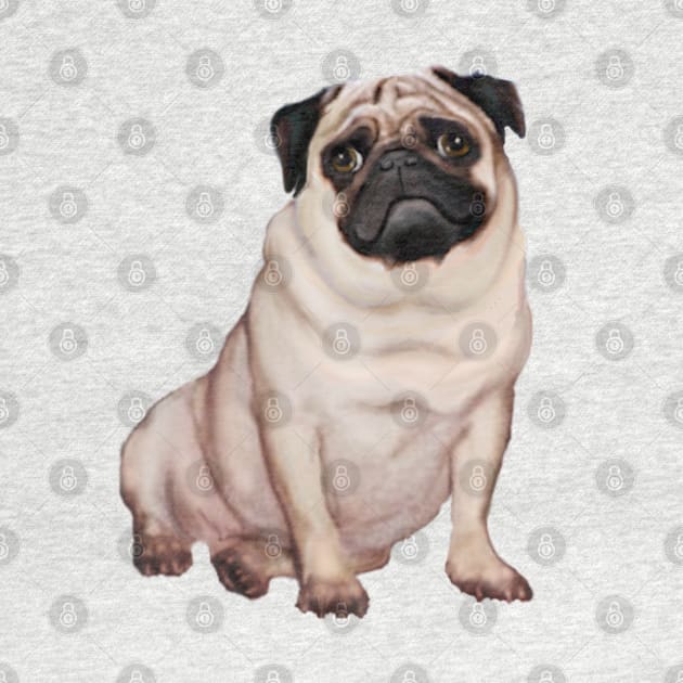 A Fawn Pug - Just the Dog by Dogs Galore and More